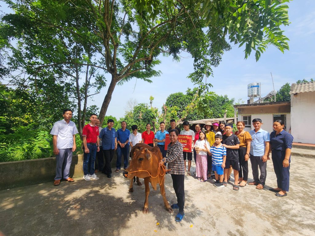 Trao bò giống ước mơ số15 năm 2023 cho gia đình chị Mai- THÔN CÔNG THÀNH – XÃ QUANG TIẾN – HUYỆN TÂN YÊN. 